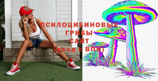 спиды Алзамай