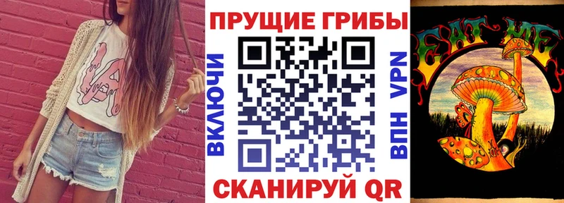 хочу наркоту  Алупка  Псилоцибиновые грибы Cubensis 